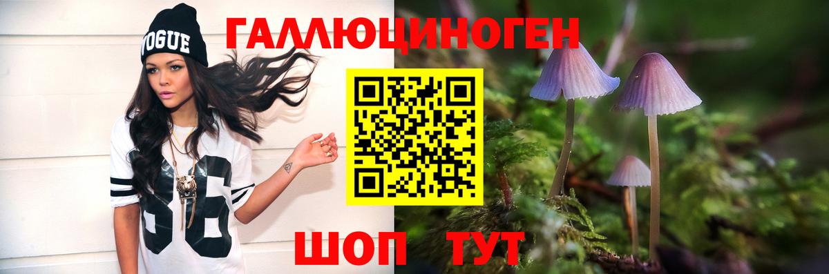 Галлюциногенные грибы Psilocybe Архангельск